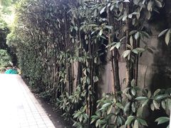 -苏州市姑苏区宝仁幼儿园