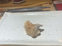 -镹·鱼料理  国产鱼使用店