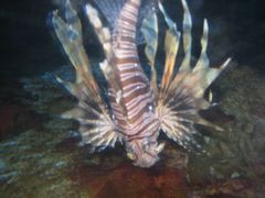 景点-秦皇岛乐岛海洋王国