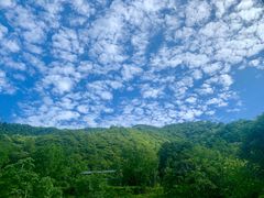 -金色印象·4K影院式足体养生(南方花园店)