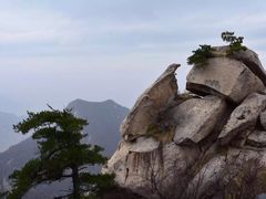 -华山风景名胜区