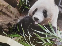 -三联韬奋书店(宽窄巷子店)
