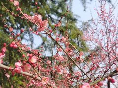 -白塘生态植物园
