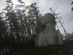 -习家池