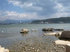 -洱海月湿地公园