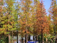 -白鹭湾湿地公园