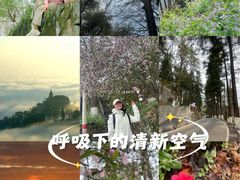 -莫干山风景区