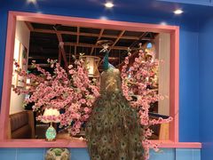 -凯德MALL(望京店)