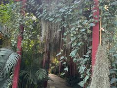 -济南植物园