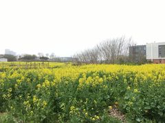 -苏州大学（独墅湖校区）-炳麟图书馆