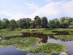 -常家庄园