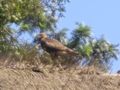 -老房子金沙元年川菜食府·花园餐厅(金沙店)