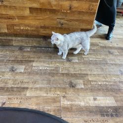 -青木造型HAIR·あおき髪を刈る潮人店