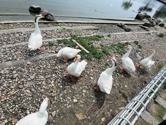 -同济大学(嘉定校区)