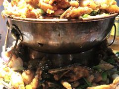 蛙麻蛙辣炭火蛙锅-蛙麻蛙辣炭火蛙锅(南环大街店)