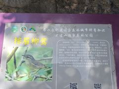 -北京上方山国家森林公园