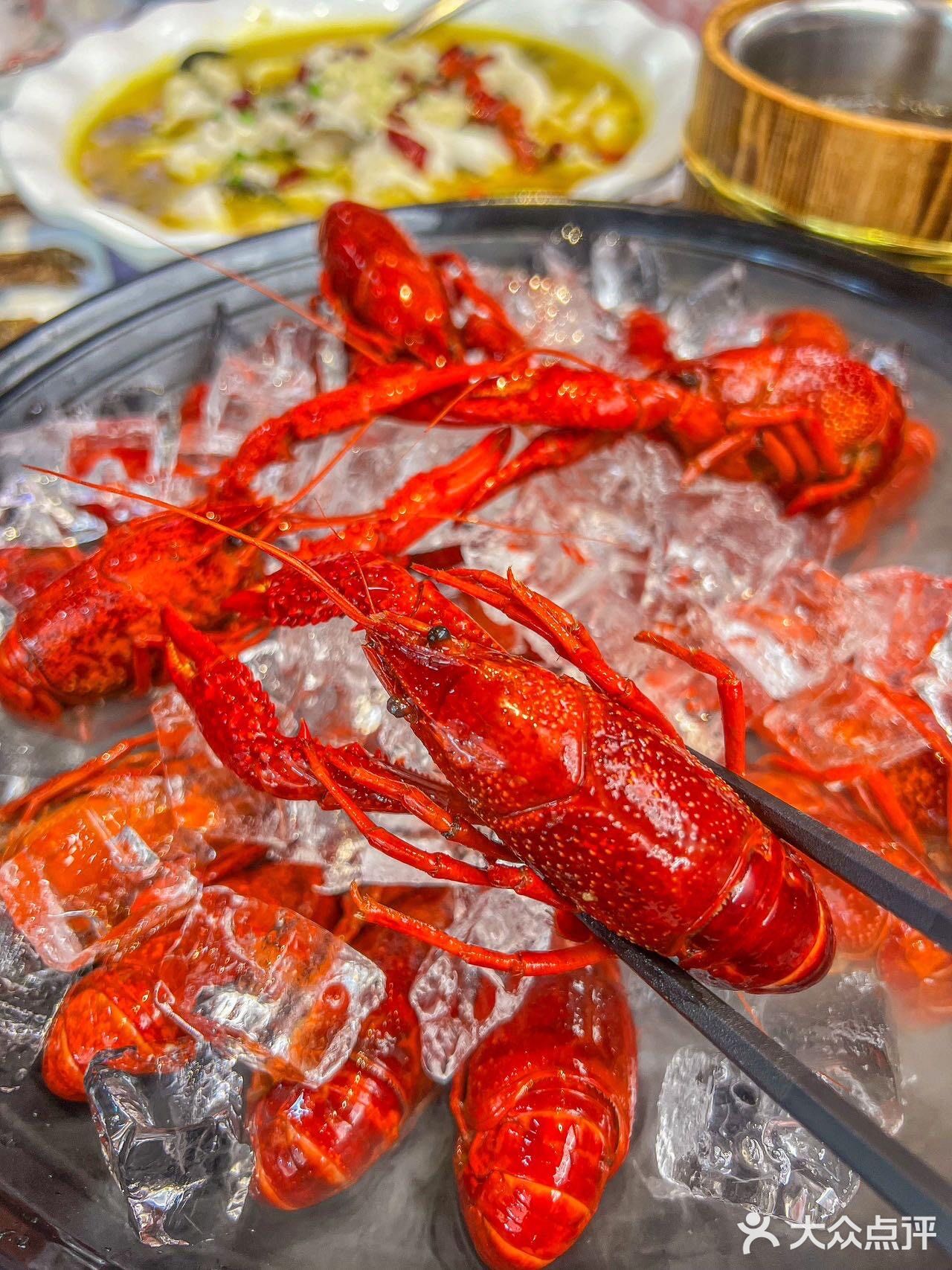 宁波！！又到了全民狂欢的龙虾季！！