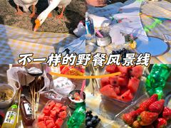 -石家庄市植物园