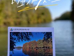 -上海海湾国家森林公园