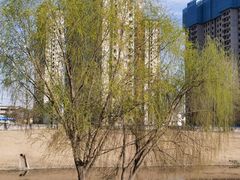 -西吴河科普公园
