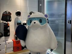 -Hopo Snow 城市滑雪空间(滨江宝龙城店)