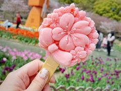 -苏州上方山国家森林公园
