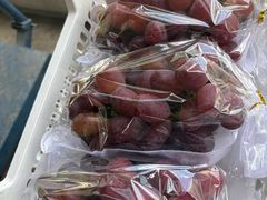 -马陆小张葡萄园农家乐