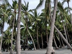 -三亚南山文化旅游区