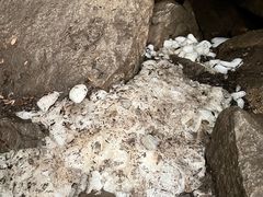 -秦岭终南山世界地质公园翠华山景区