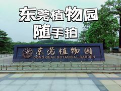 -东莞植物园