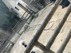 -昆明动物园