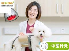 -艾贝尔宠物医院 ·中兽医·宠保定点(北门桥店)