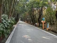 -同里国家湿地公园