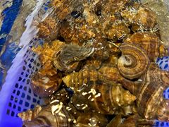 -南山鲜虾面·活鲜小馆·海味大连菜(南山总店)