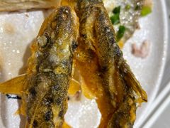 -丹江渔村(望京店)