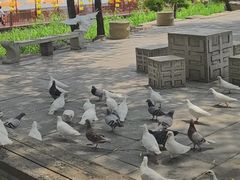 -中国翰园碑林
