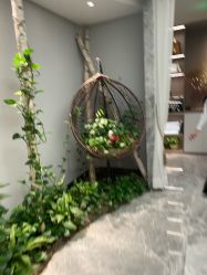 -艾维庭美学SPA