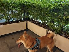 -太兴餐厅(小径湾店)