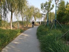 -天津东丽湖风景区