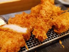 -胜博殿日式炸猪排(西红门店)