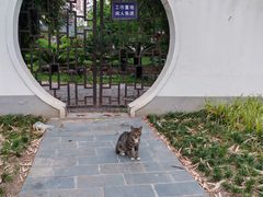 -堤角公园