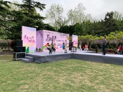 -嘉定紫藤园