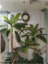 -东方凯丽·美容抗衰会所·菲比店