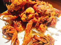 -红盔甲·小龙虾(天钥桥店)