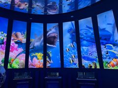 -上海海昌海洋公园