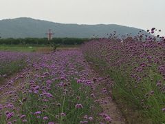 -宁波杭州湾国家湿地公园