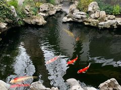 -鲤院·新中式美学·庭院餐厅(夫子庙店)