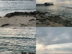 -三亚西岛海洋文化旅游区