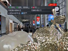 -广州白云国际机场-T2航站楼