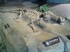 -自贡恐龙博物馆